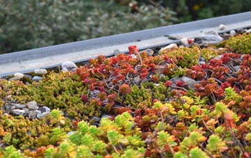 the cost of Knowle St Giles green roof installation