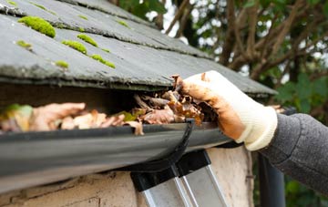 gutter cleaning Knowle St Giles, Somerset
