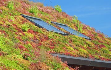 Knowle St Giles living roof systems