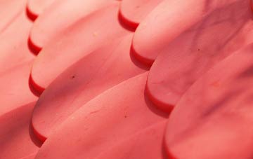 Knowle St Giles plastic roof costs