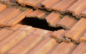 roof repair Knowle St Giles, Somerset