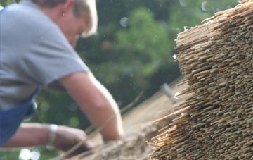 professional Knowle St Giles thatchers