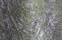 Knowle St Giles fibreglass roof work